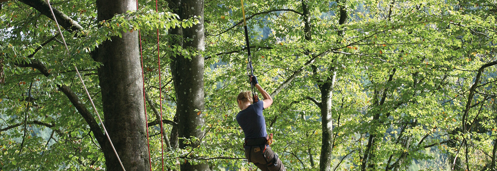 Hoch hinaus oder tief hinab