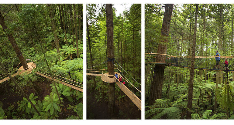 Kategorie Best Project: Treewalk in Rotorua/Neuseeland