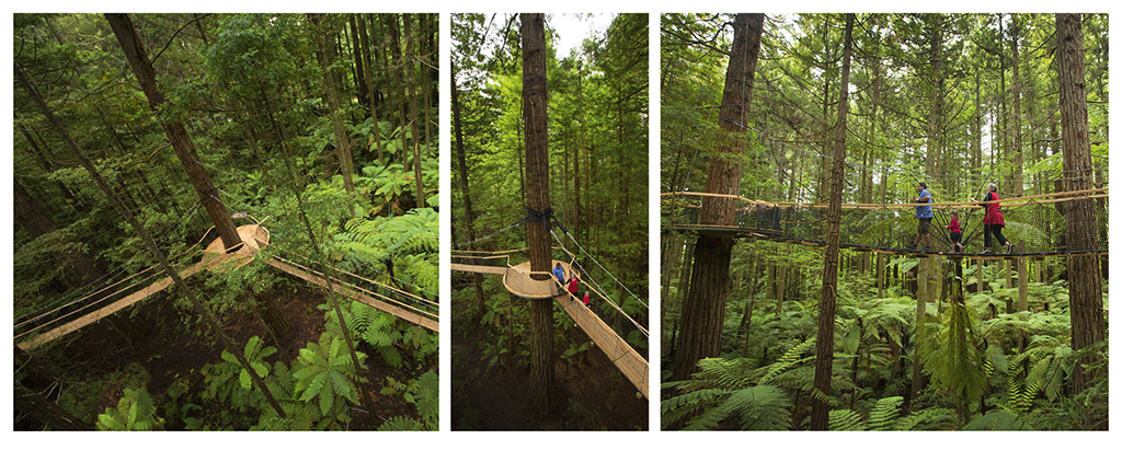 Kategorie Best Project: Treewalk in Rotorua/Neuseeland