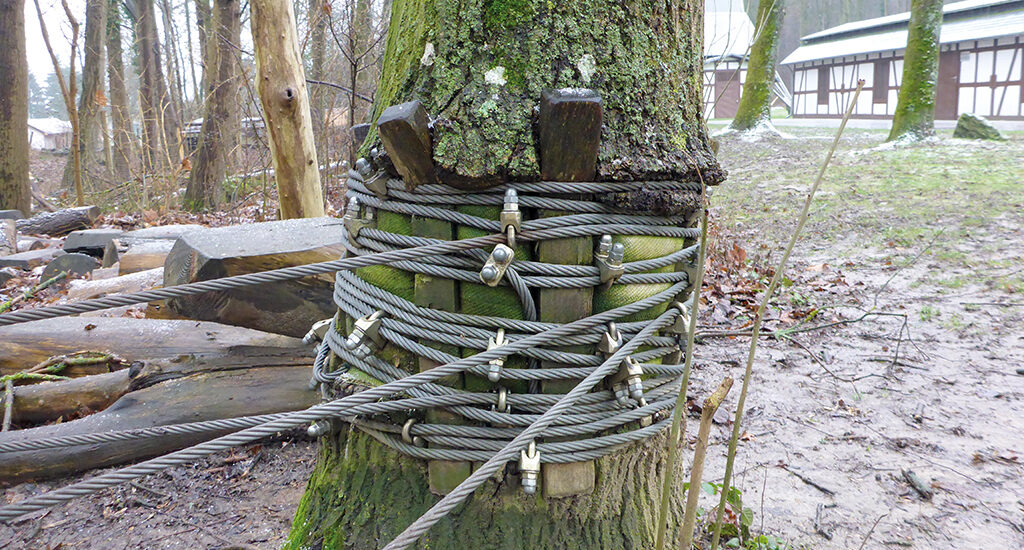 Gut aufgestellt vor Gericht