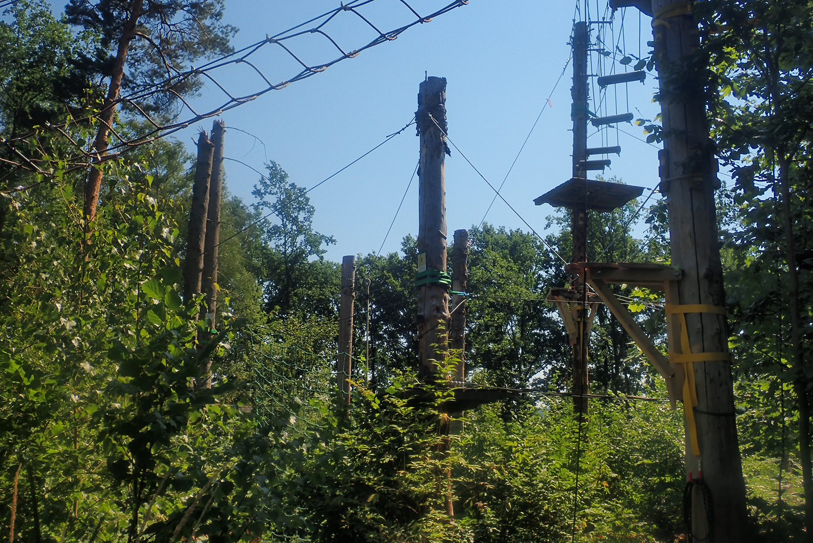 Borkenkäfer Fallout