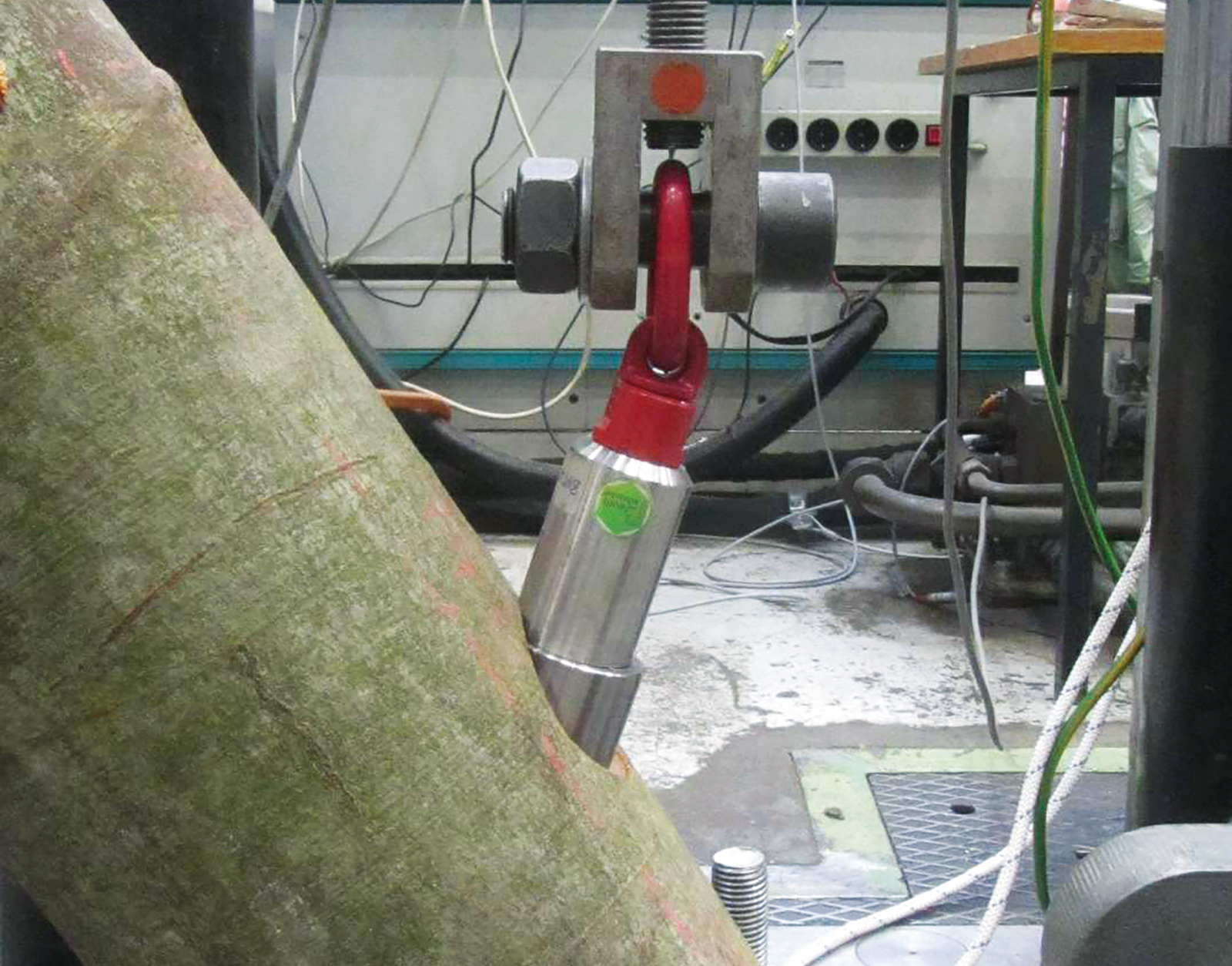 Tree Engineering