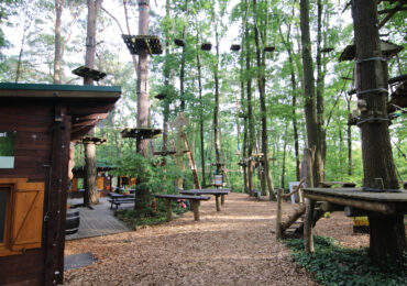 Nachfolge im Kletterwald Lübben