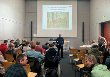 Abgestorbene Bäume als Tragwerke: